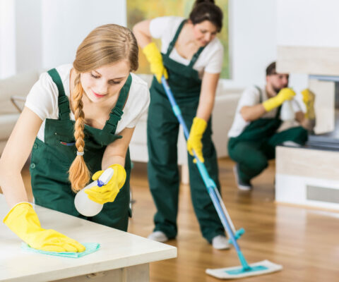 House Cleaning Services