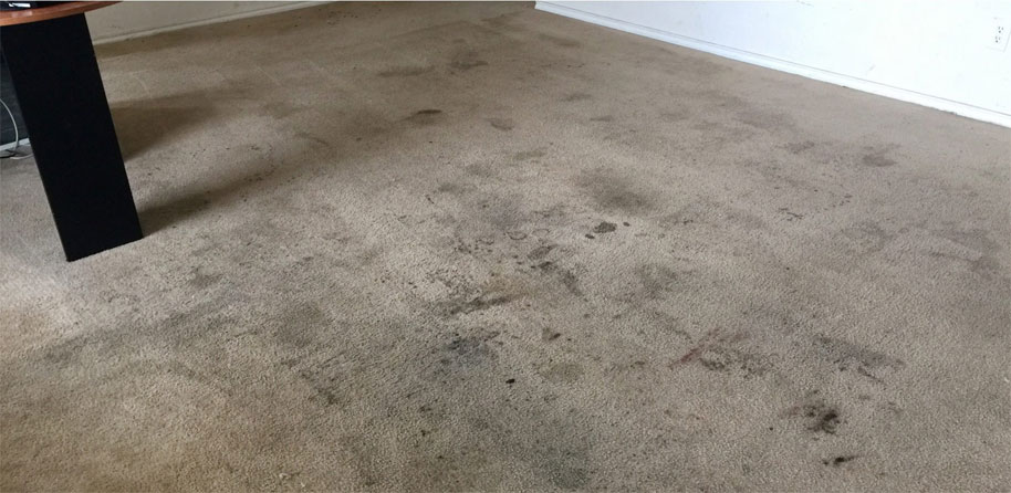 Carpet Cleaning before and After