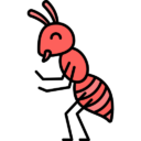 Ants