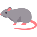 Rodents